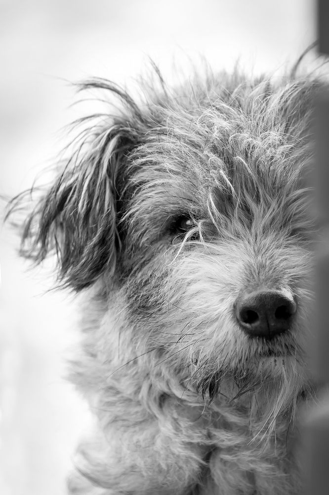 Photograph by Владимир Салапонов