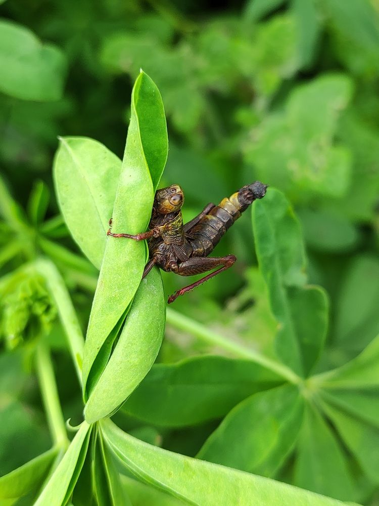 Photograph by Xavier