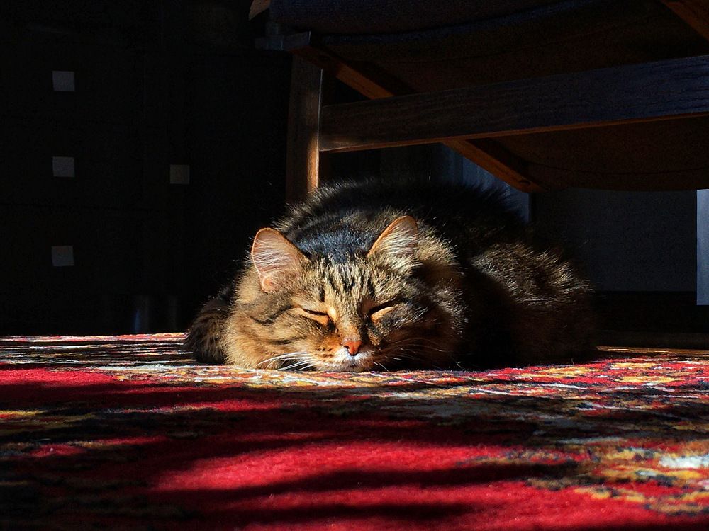 Photograph by Татьяна Галаева