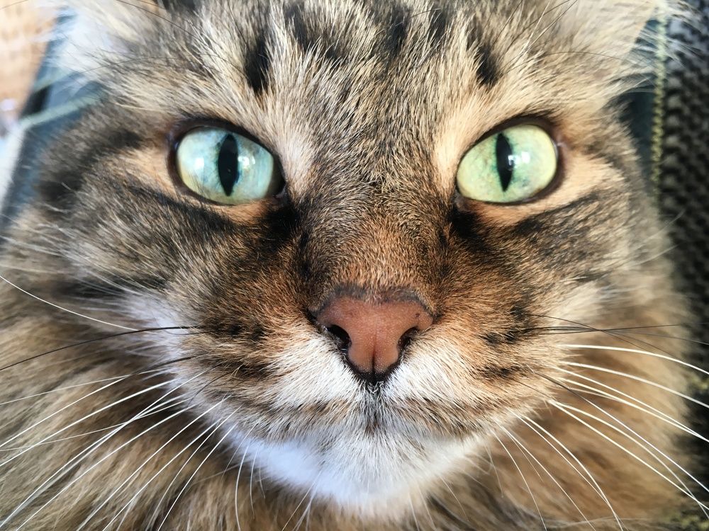 Photograph by Татьяна Галаева