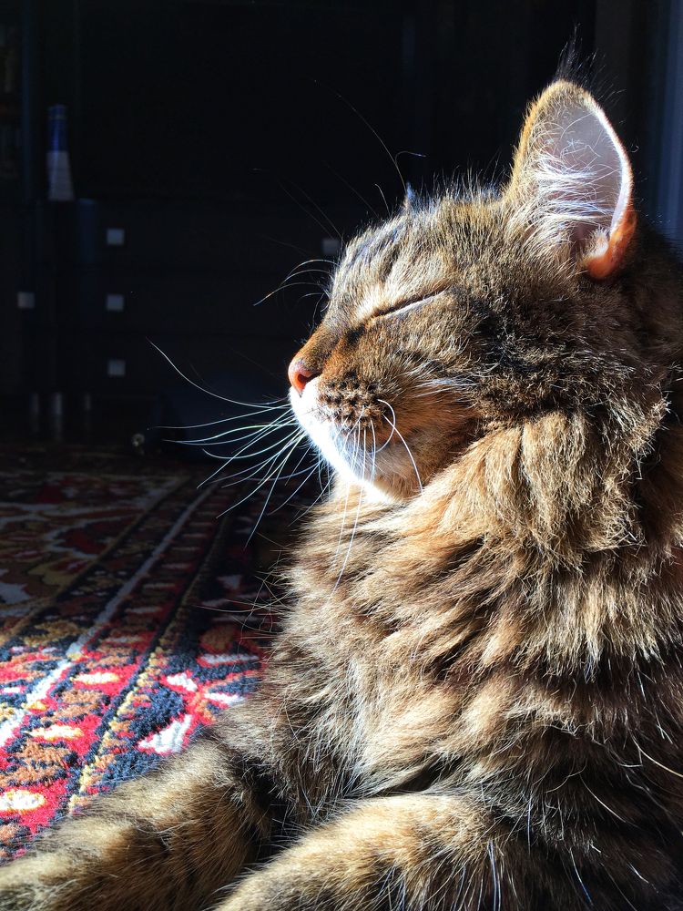 Photograph by Татьяна Галаева