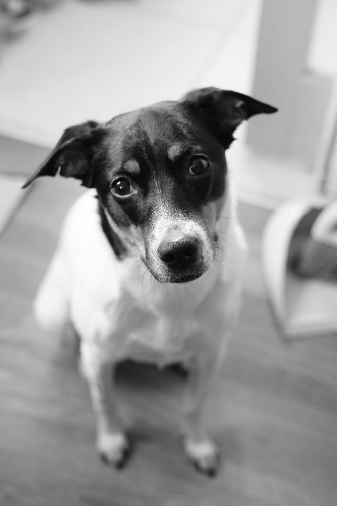 Photograph by Эвелина Моисеева