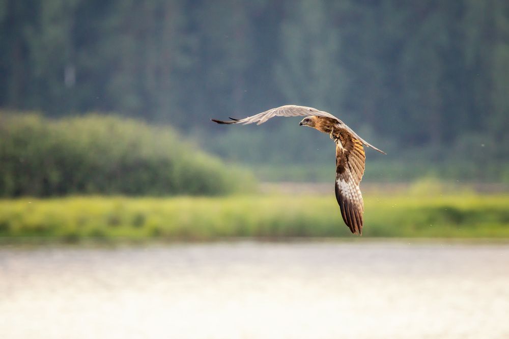 Photograph by Станислав Аристов