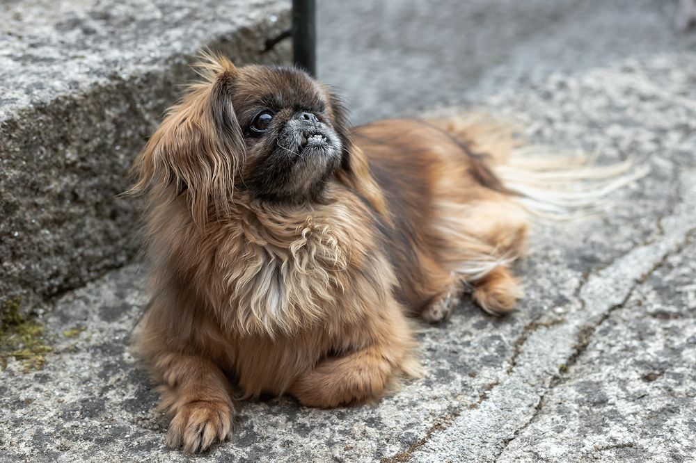 Photograph by Maria Virgínia Martins