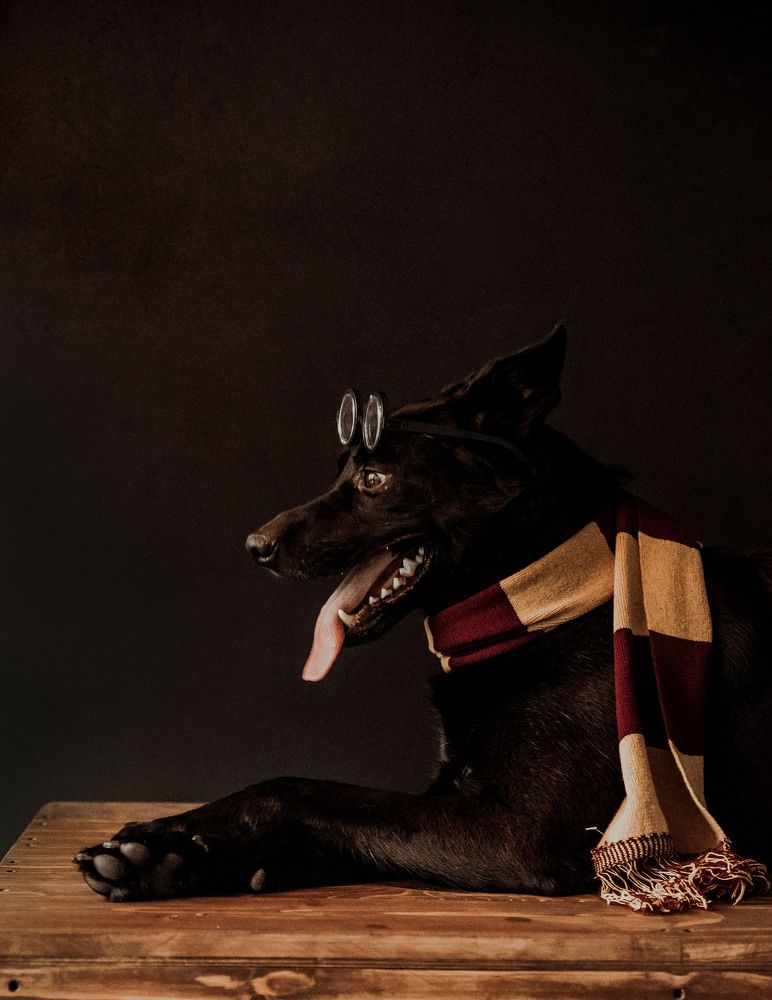 Photograph by Егор Круглов