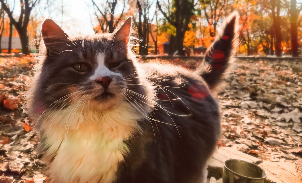 Photograph by Оксана Маракушина