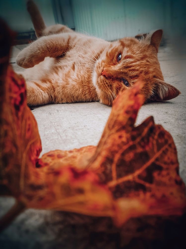 Photograph by Оксана Маракушина