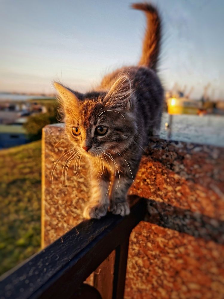 Photograph by Оксана Маракушина