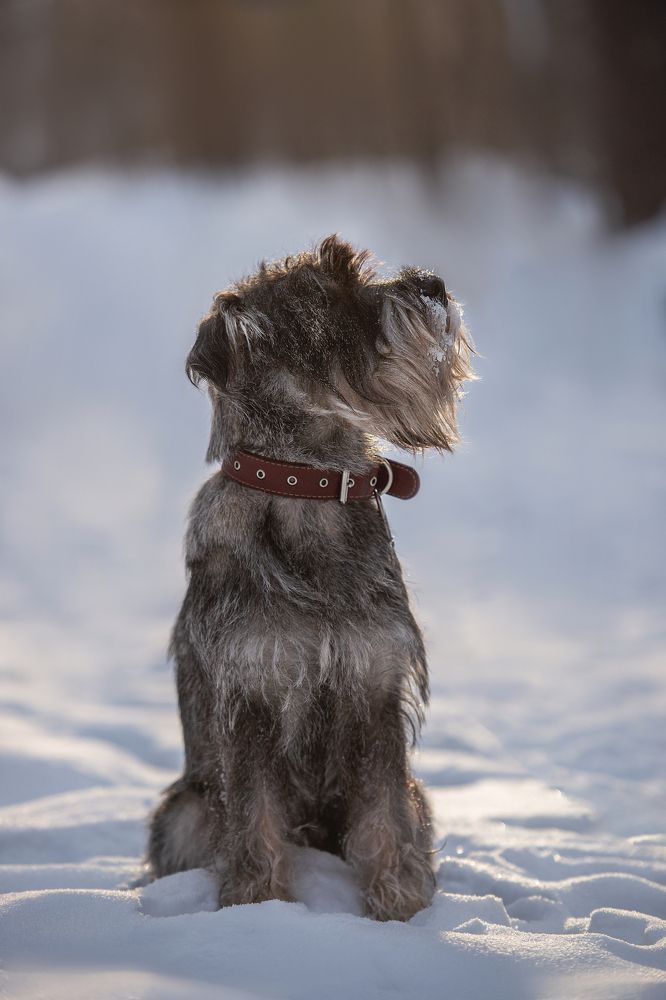 Photograph by Марина Богатырева