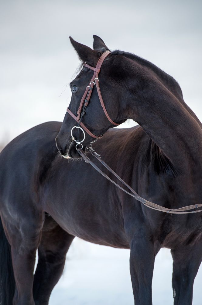 Photograph by Кристина Фарнакеева