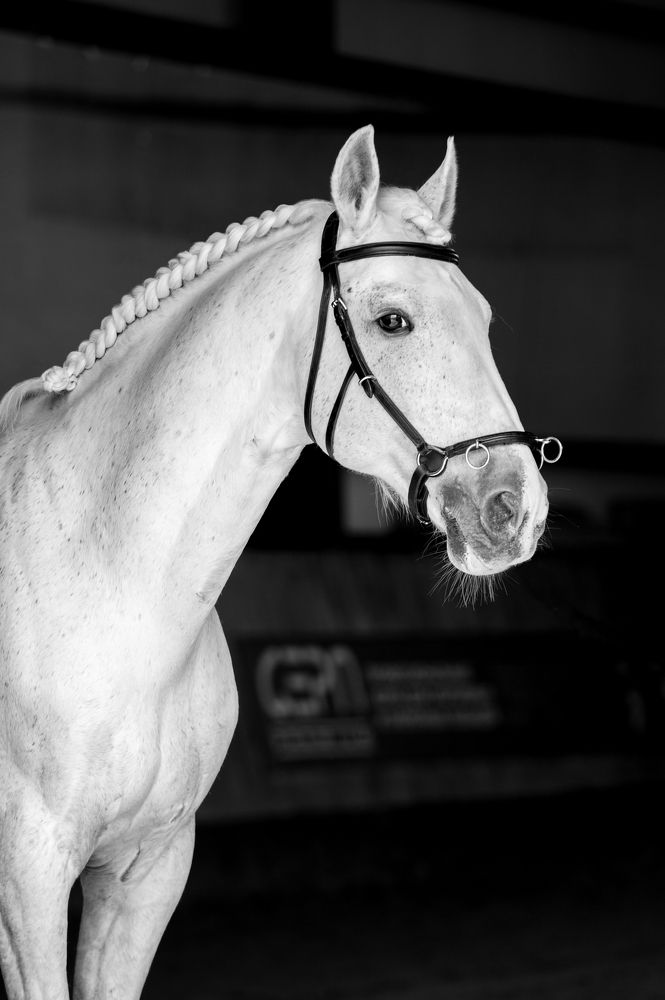 Photograph by Кристина Фарнакеева