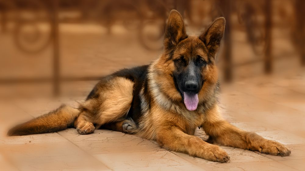 Photograph by Виктор Холодов