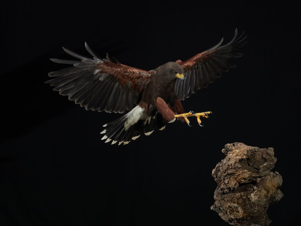 Фотография автора Jose Antonio Parra Garcia