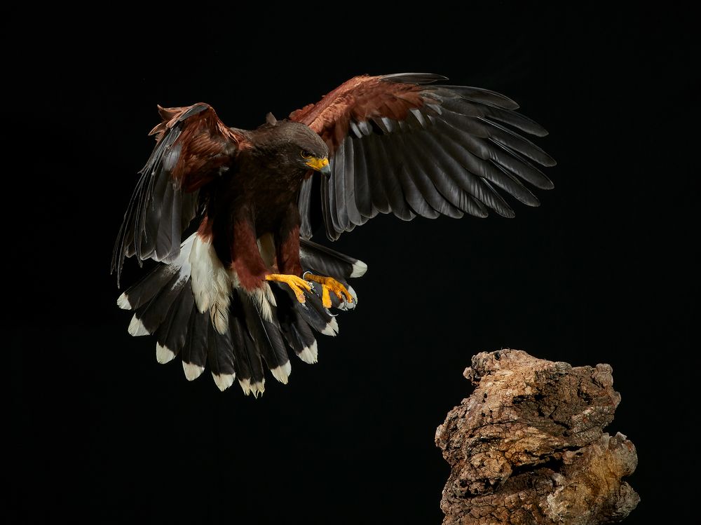 Photograph by Jose Antonio Parra Garcia