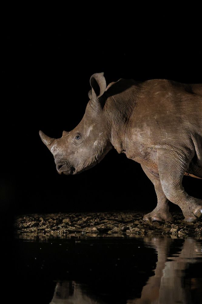 Photograph by Cheri Marks