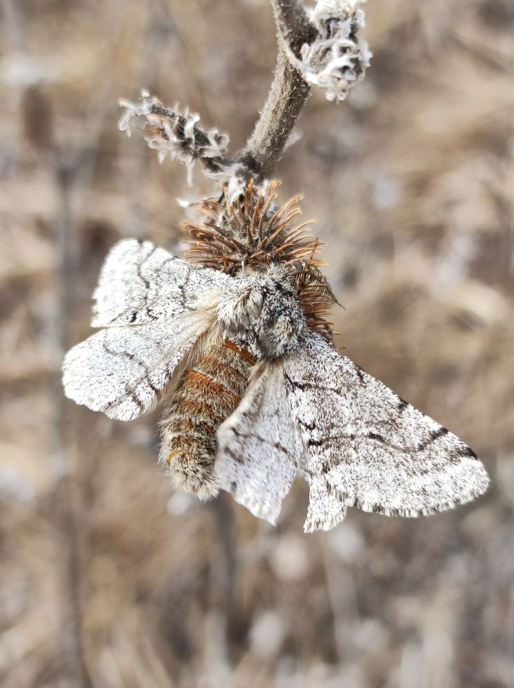 Photograph by Надежда Батракова
