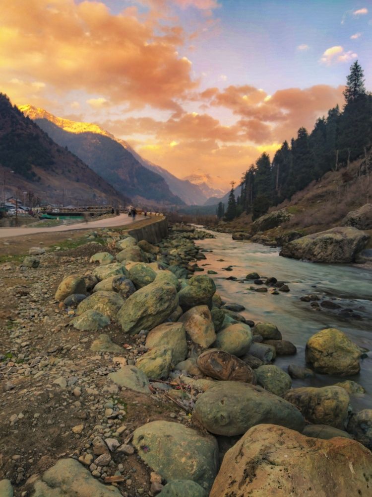 Photograph by SOUMYA CHAKRABORTY