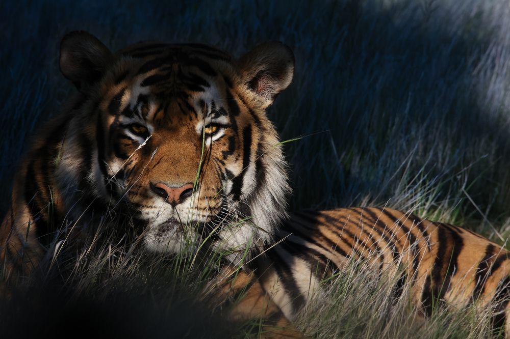 Photograph by Cheri Marks