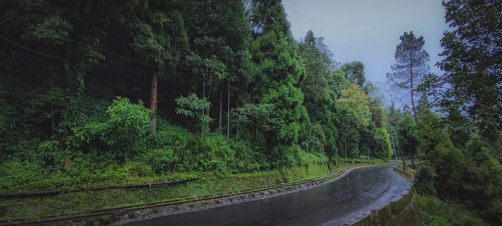 Photograph by SOUMYA CHAKRABORTY