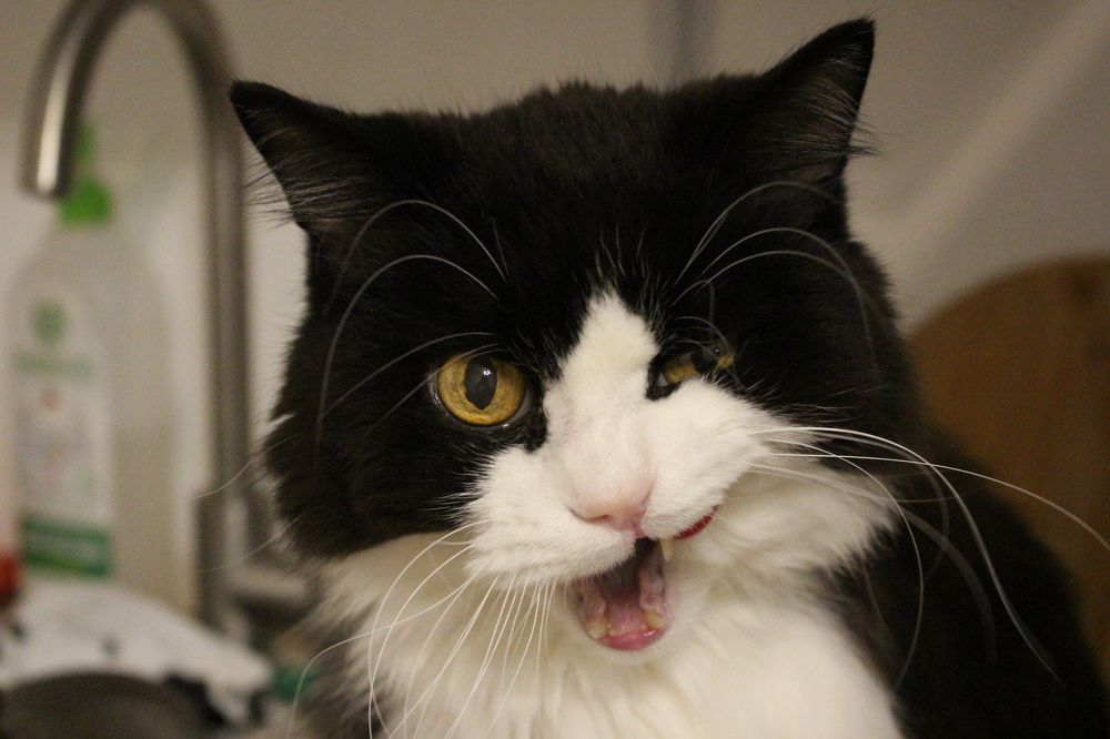 Photograph by Диана Потапова