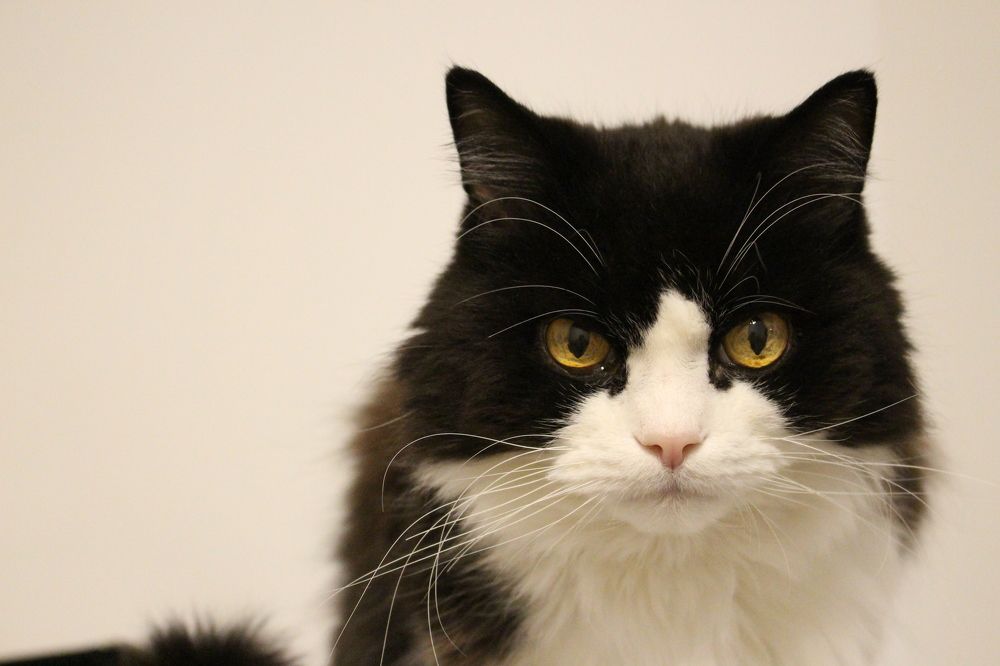 Photograph by Диана Потапова