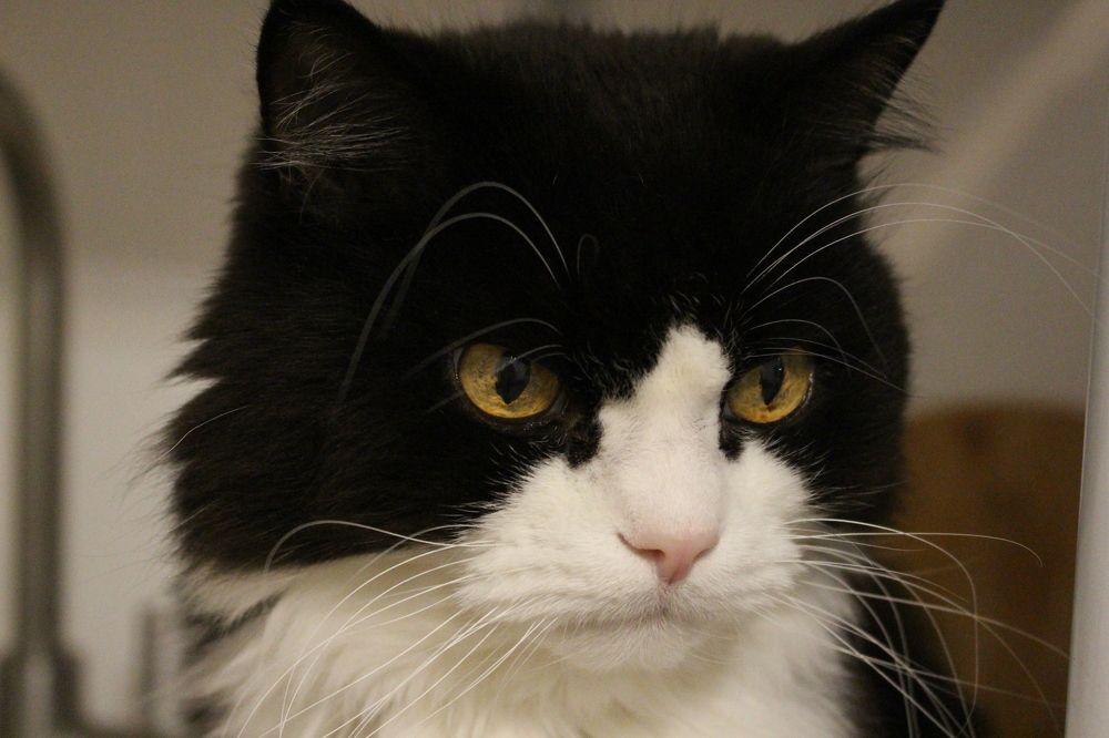 Photograph by Диана Потапова