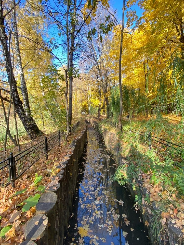 Photograph by Елизавета