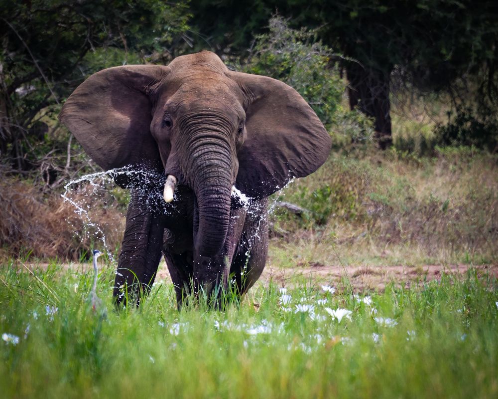 Photograph by Cheri Marks