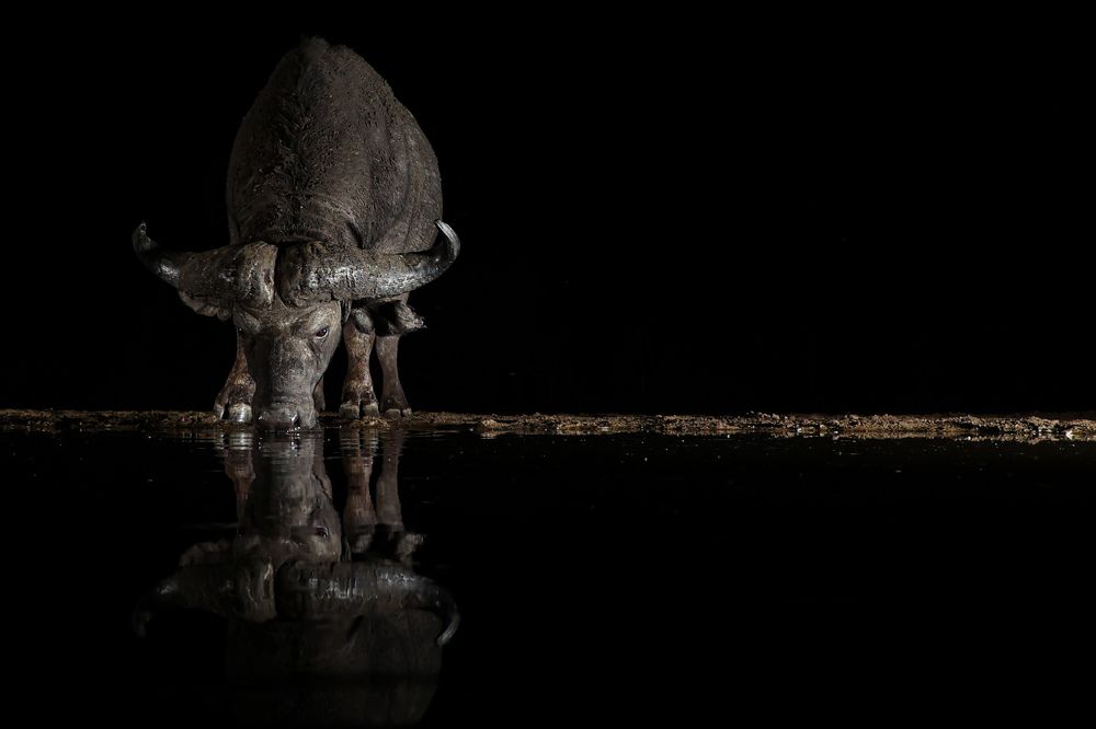 Photograph by Cheri Marks