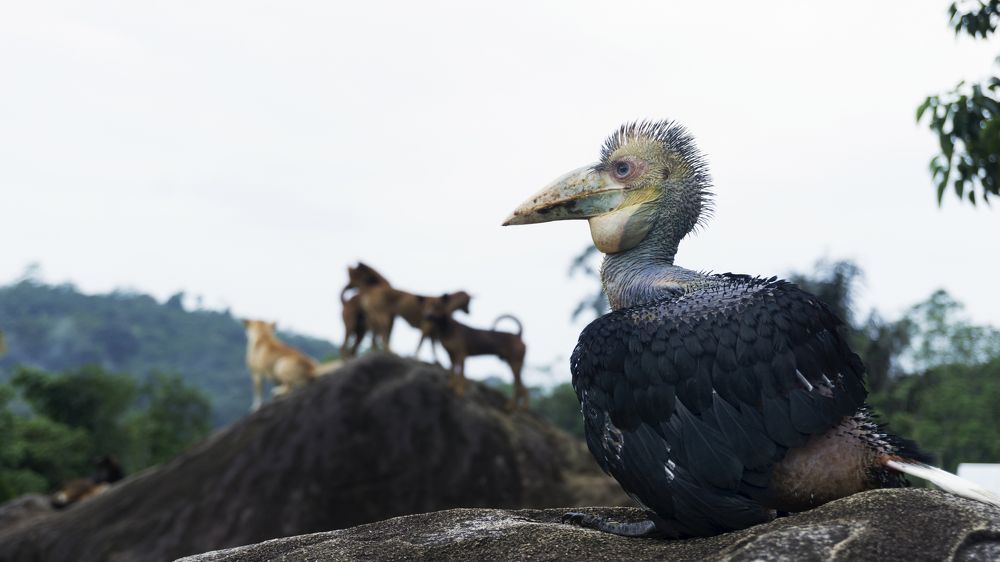 Photograph by irvan akhmad