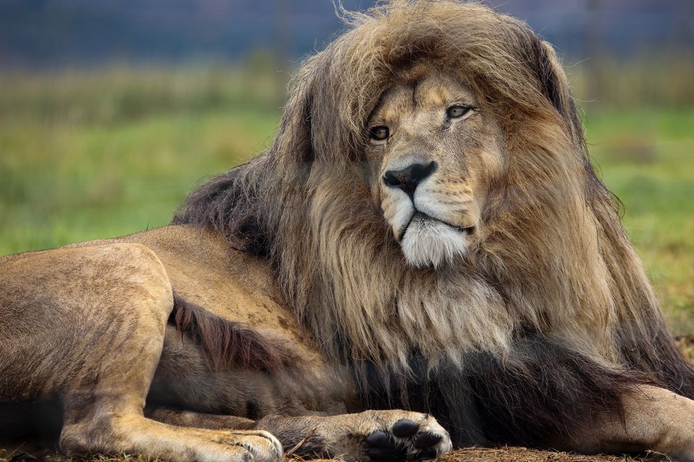 Photograph by Cheri Marks