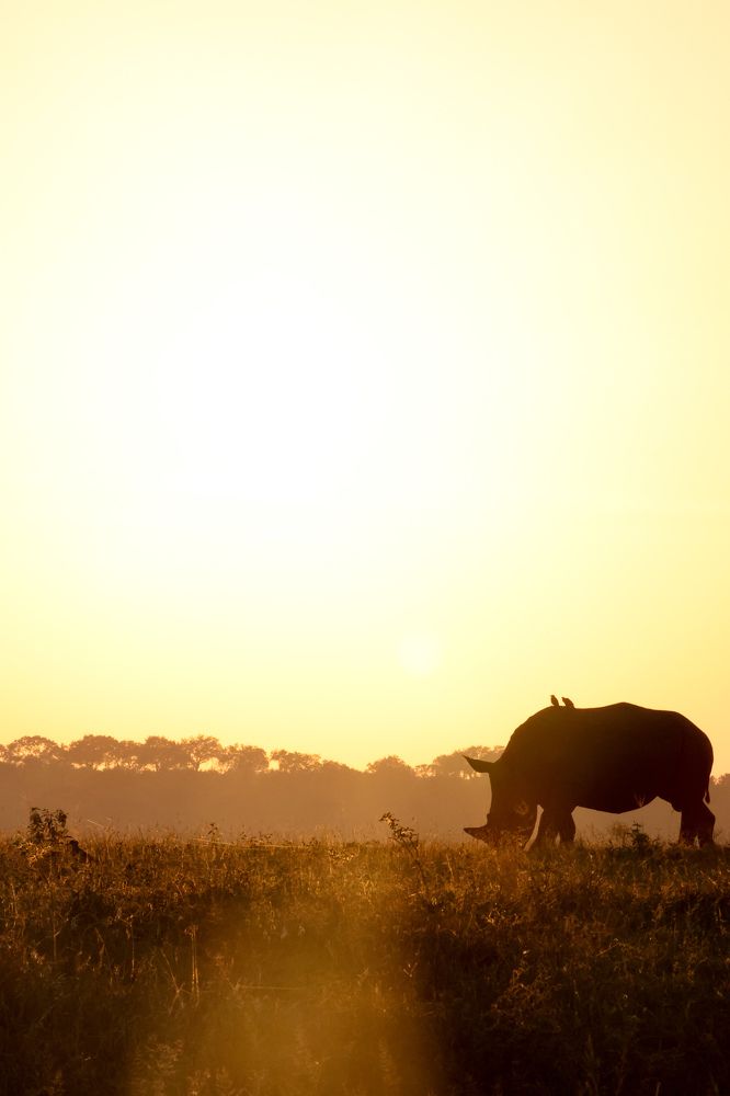 Photograph by Cheri Marks