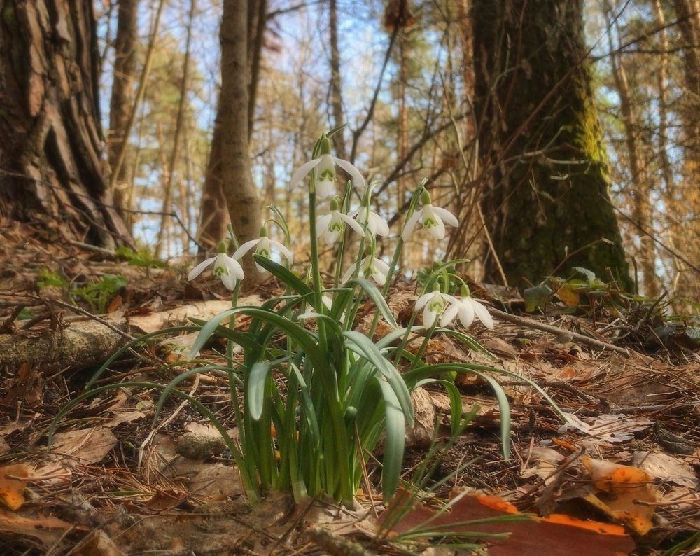 Photograph by Лайко Марина