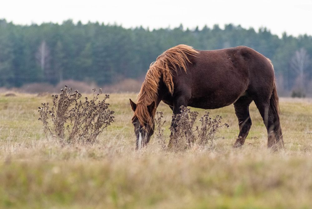 Фотография автора Александр Буренко