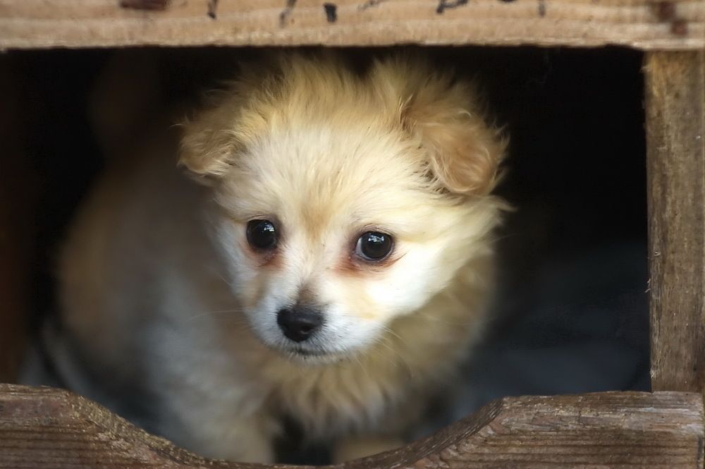 Photograph by Анатолий Святой