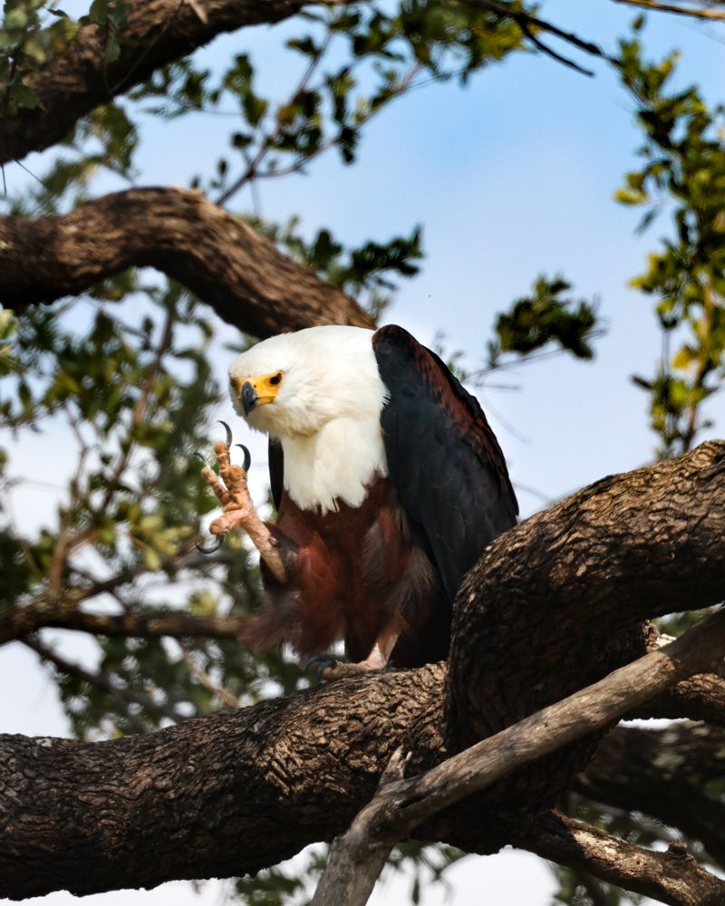 Photograph by Cheri Marks