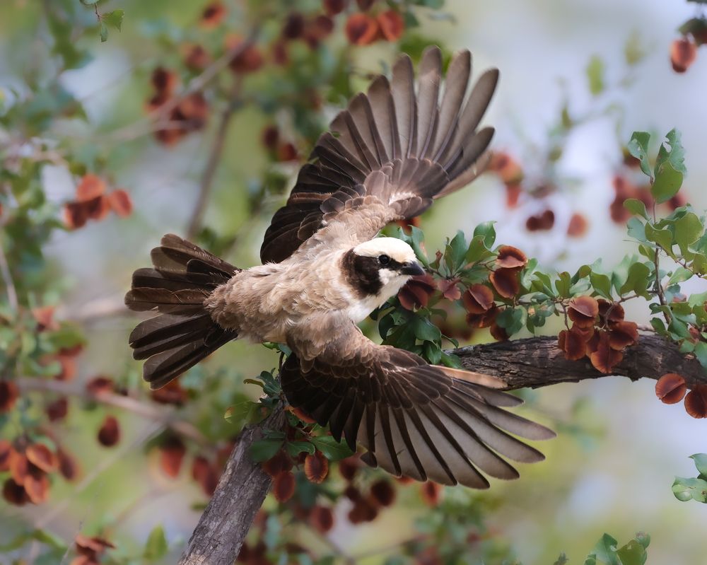 Photograph by Cheri Marks