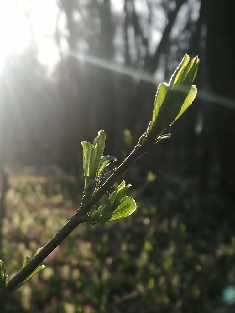 Photograph by Полина Паршина