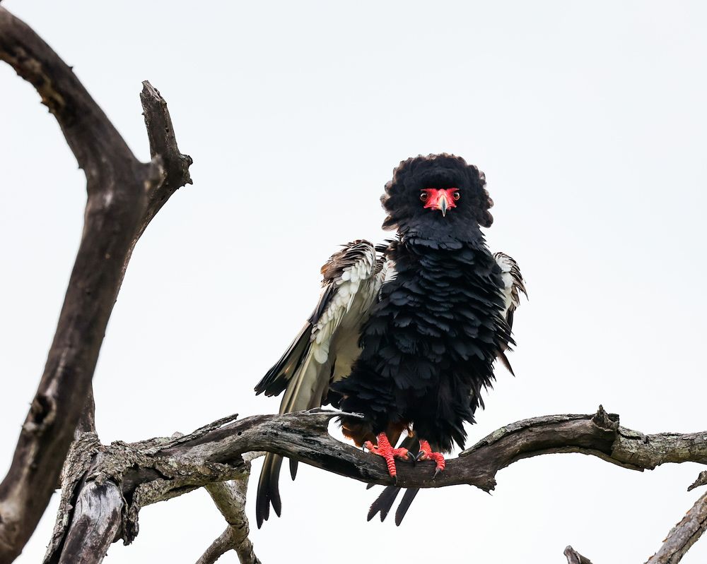 Photograph by Cheri Marks