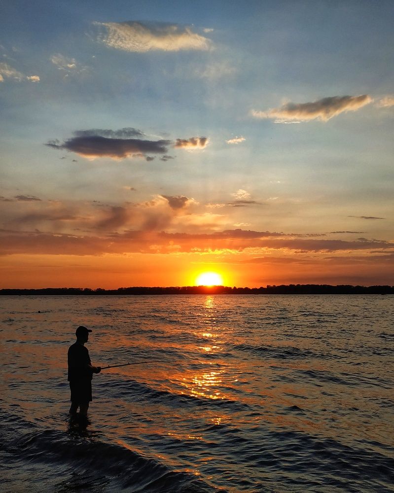 Photograph by Elena Bogomolova