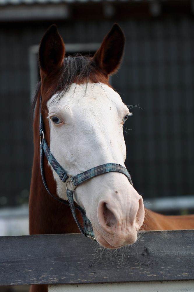 Photograph by Елена Ковалева