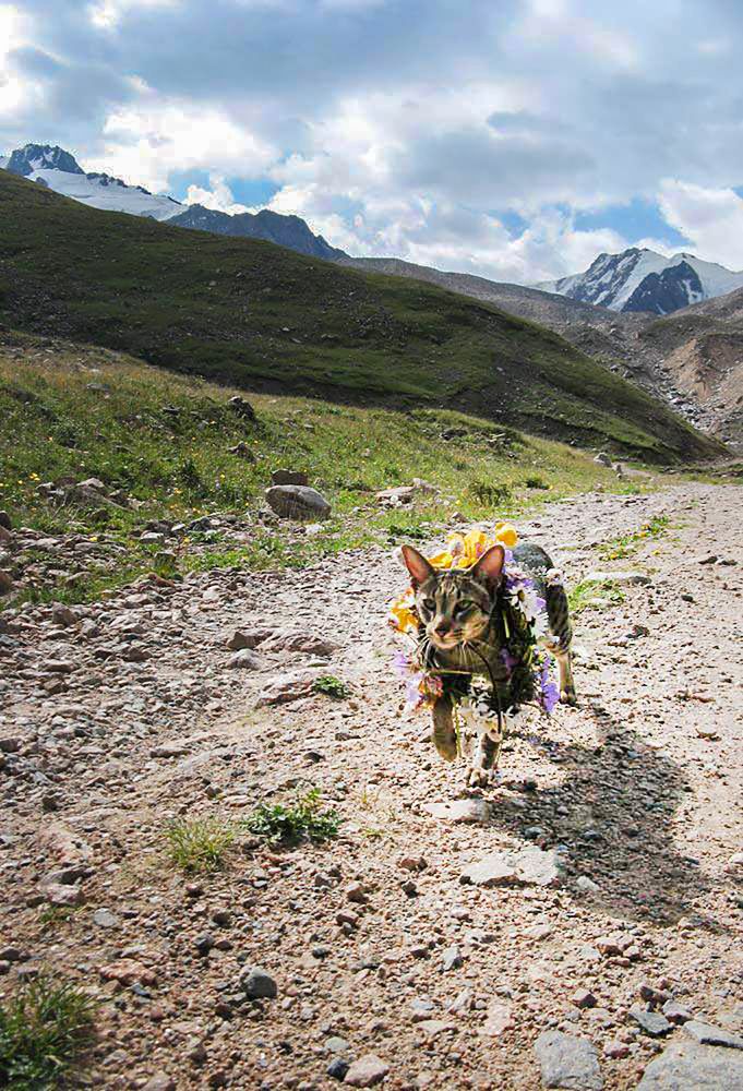 Photograph by Ирина Курьянова