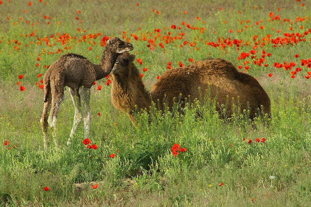 Утро дня рождения