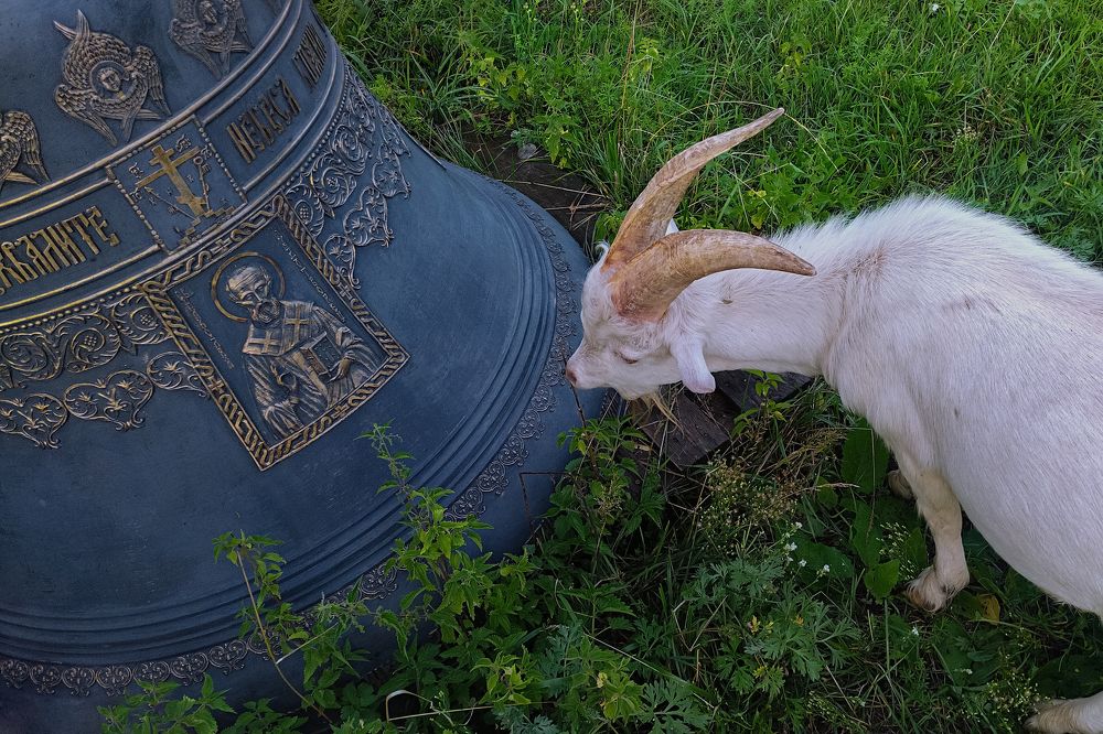 Photograph by Елена Леонидовна