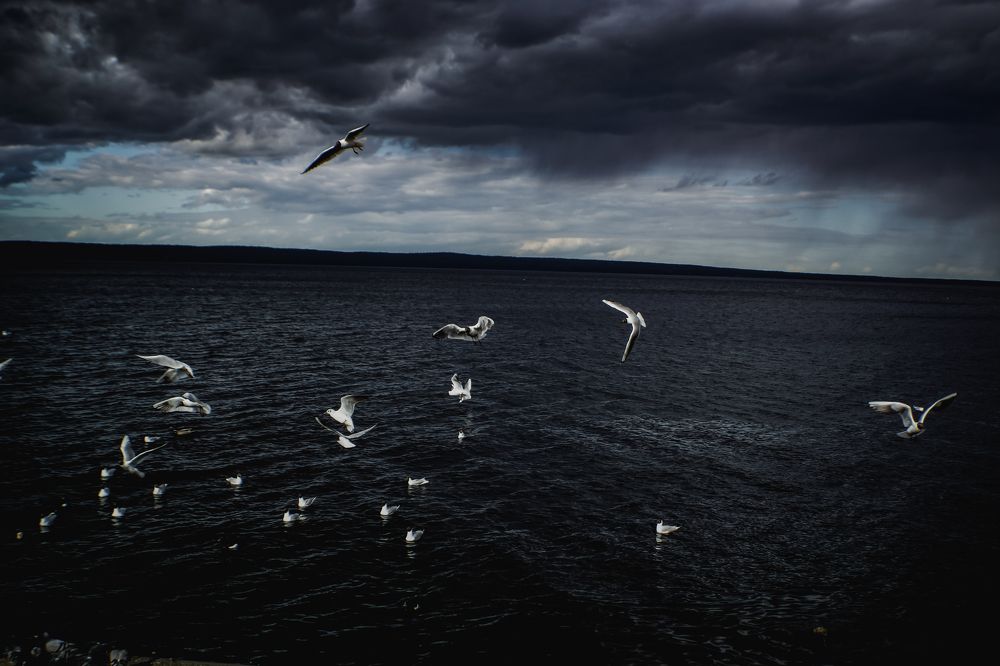 Photograph by Мария Колоскова