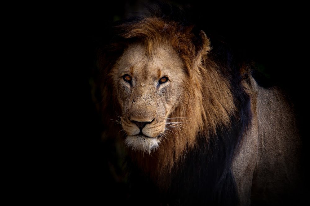 Photograph by Cheri Marks