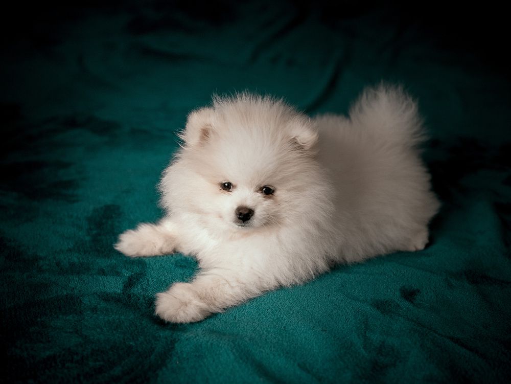 Photograph by Мария Бублик