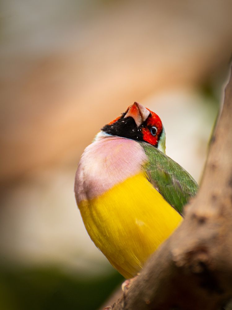 Photograph by Александр