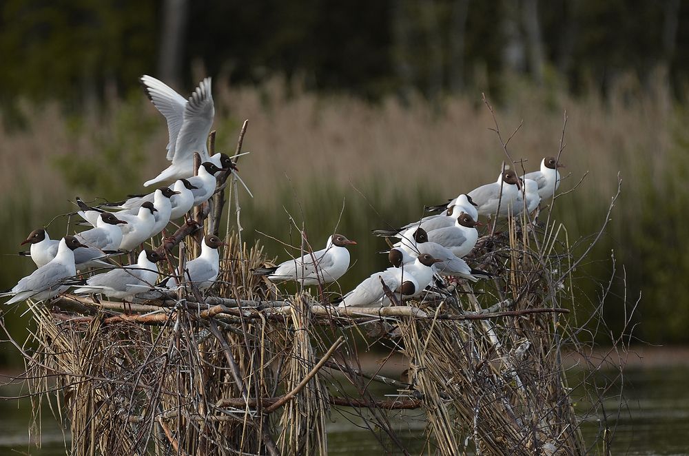 Photograph by Наталья