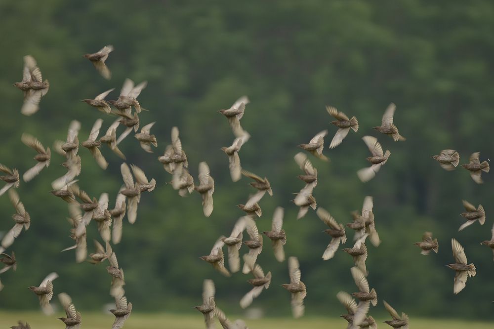 Photograph by Наталья